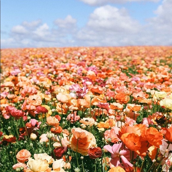 Meet your Posher, Nadia - Picture 1 of 1